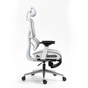 Ghế Công Thái Học Đệm Lưng Êm Ái - CTH17 2