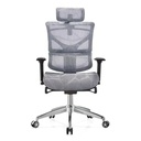 Ghế Công Thái Học Tay Nâng - CTH18 1