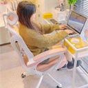 Ghế Công Thái Học Cánh Bướm - CTH19 5