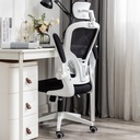 Ghế Công Thái Học Lưng Điều Chỉnh - CTH15 3