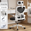 Ghế Công Thái Học Lưng Điều Chỉnh - CTH15 5
