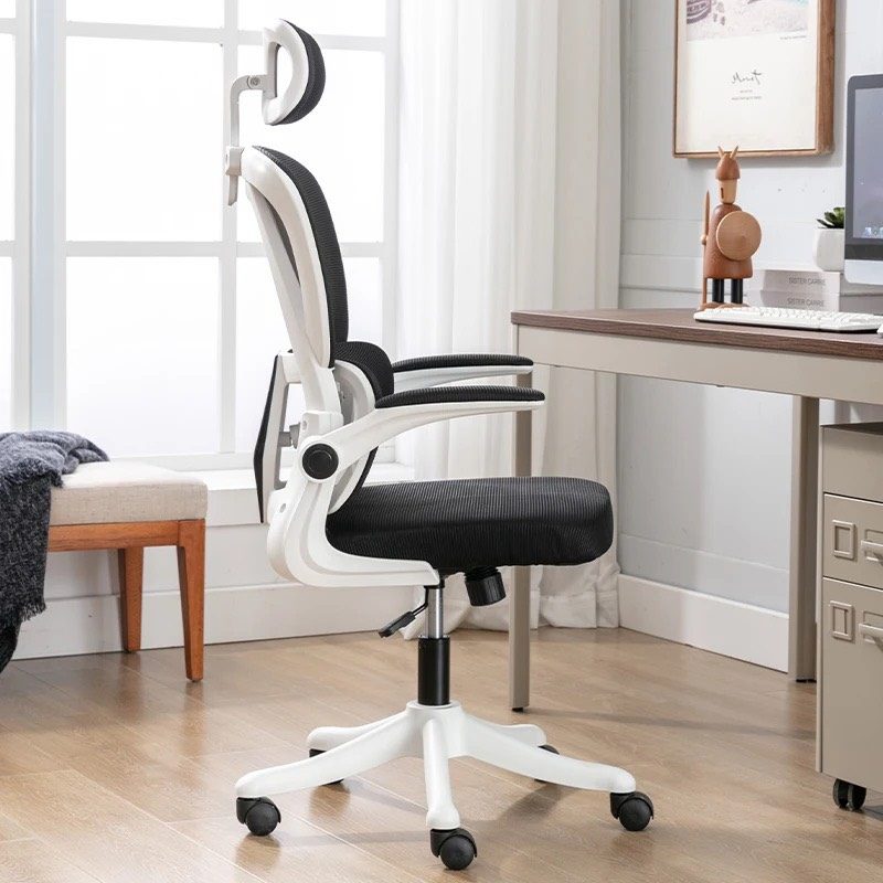 Ghế Công Thái Học Lưng Kép - CTH11 2