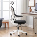 Ghế Công Thái Học Lưng Kép - CTH11 2