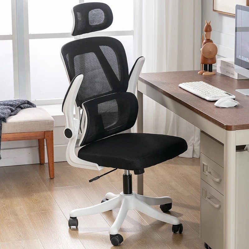 Ghế Công Thái Học Lưng Kép - CTH11 5