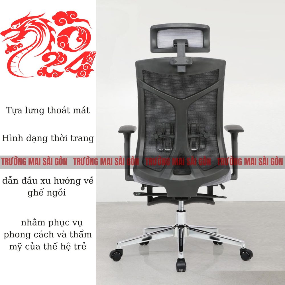 Ghế Công Thái Học Điều Chỉnh Nâng Hạ - GX36 2