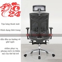 Ghế Công Thái Học Điều Chỉnh Nâng Hạ - GX36 2