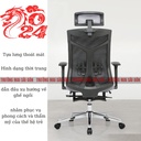 Ghế Công Thái Học Điều Chỉnh Nâng Hạ - GX36 2