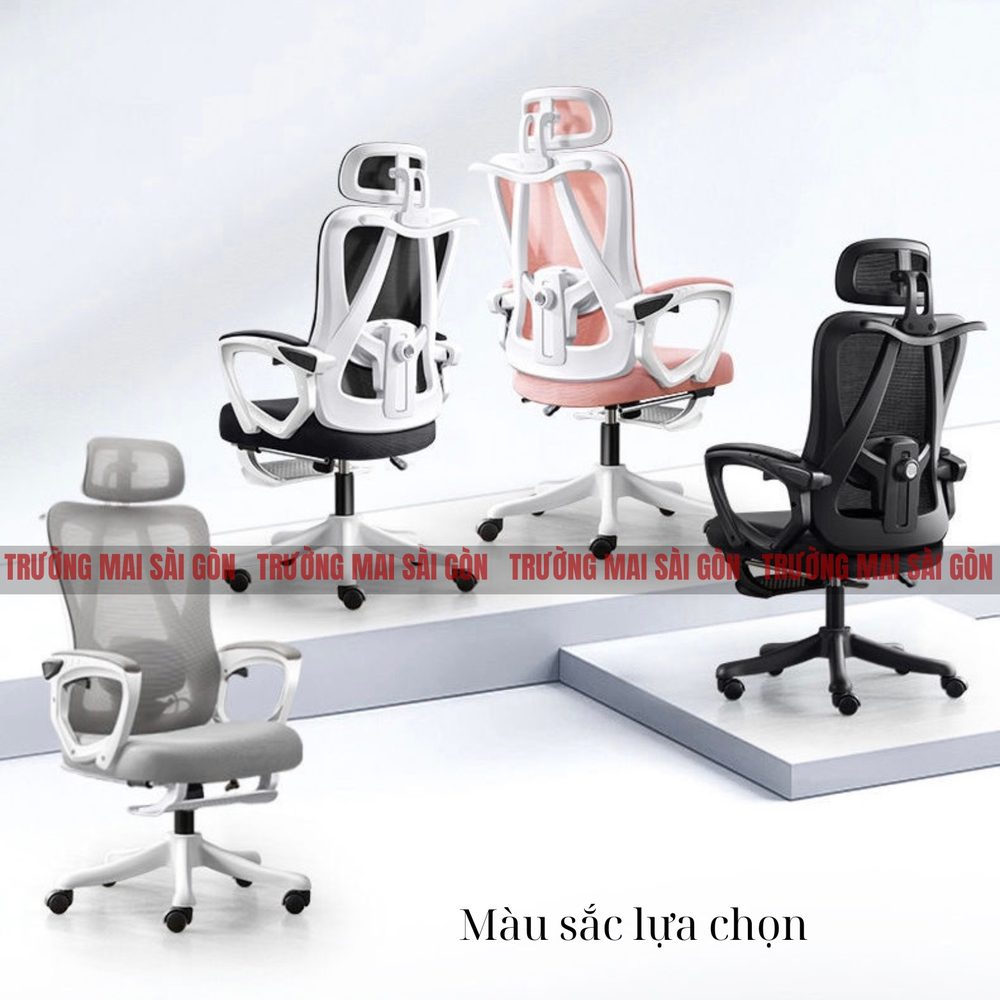 Ghế Xoay Công Thái Học Cao Cấp - CTH5 2