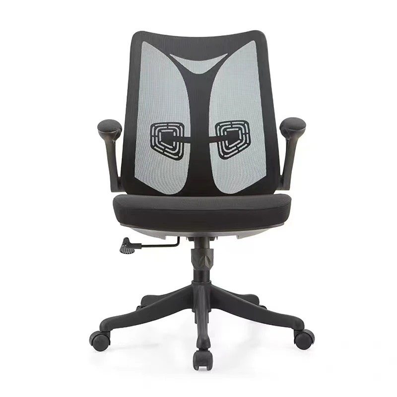 Công Thái Học Ergonomic Đa Năng- GX53 1