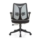 Công Thái Học Ergonomic Đa Năng- GX53 1