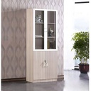 Tủ Tài Liệu 2 Cánh Kính 1