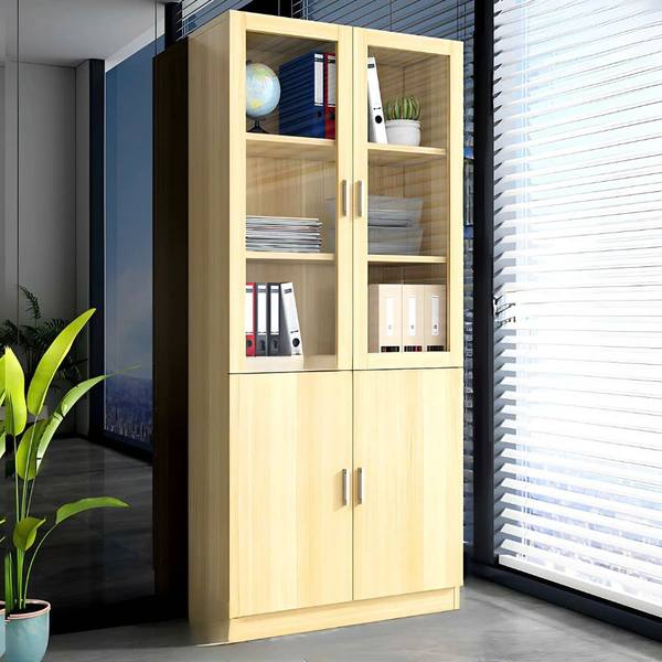 Tủ Tài Liệu 2 Cánh Văn Phòng Đẹp 1