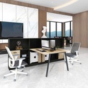 Cụm Bàn Làm Việc 2 Người Chân Sắt Kèm Tủ Sách - BC110 4