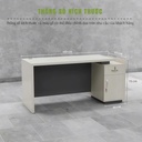 Bàn Giám Đốc Gỗ Phong Cách Tối Giản Kèm Tủ Phụ - BGĐ119 2