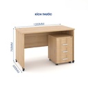Bàn Làm Việc Văn Phòng Gỗ - BG10 2