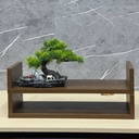 Kệ Để Bàn 2 Tầng Mini 2 Trong 1 Đa Năng 2