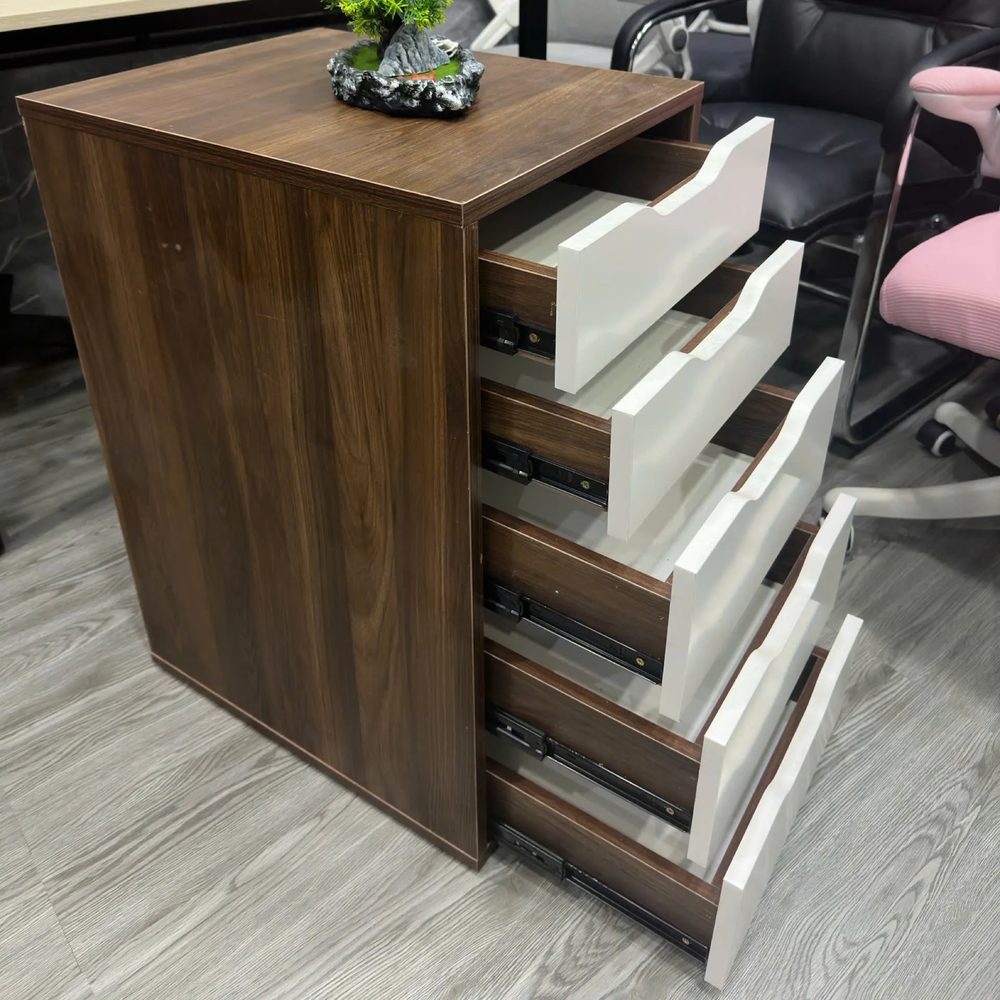 Hộc Tủ IKEA 5 Ngăn Tiện Lợi - TP52 4