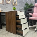 Hộc Tủ IKEA 5 Ngăn Tiện Lợi - TP52 5