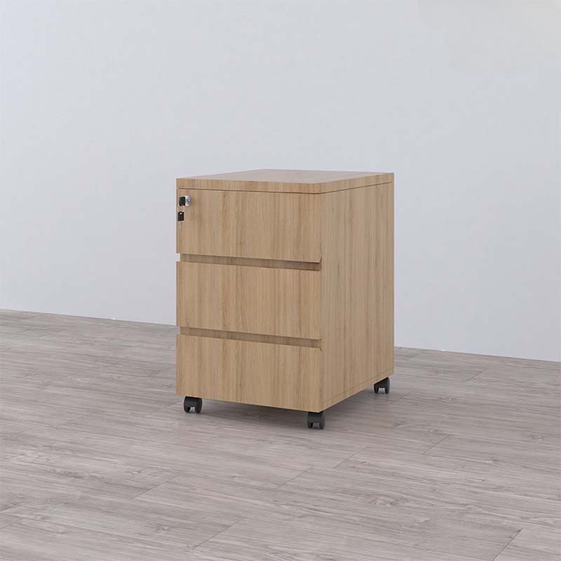Hộc Tủ Phụ Di Động 3 Ngăn - TP13 2