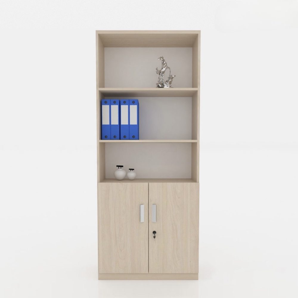 Tủ Văn Phòng Hiện Đại Cao Cấp - THS71 3