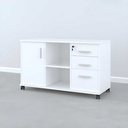 Hộc Tủ Phụ Di Động - TP9 3