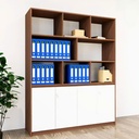 Tủ Tài Liệu Thiết Kế Đẳng Cấp - THS154 1