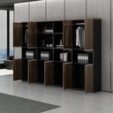 Tủ Tài Liệu Gỗ Giám Đốc Sang Trọng - THS1 2