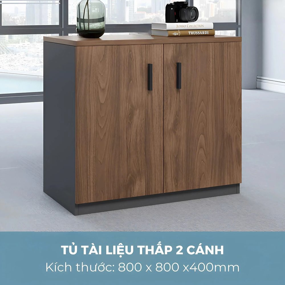 [THS273] Tủ Tài Liệu Trung 2 Cánh Gỗ Công Nghiệp - THS273