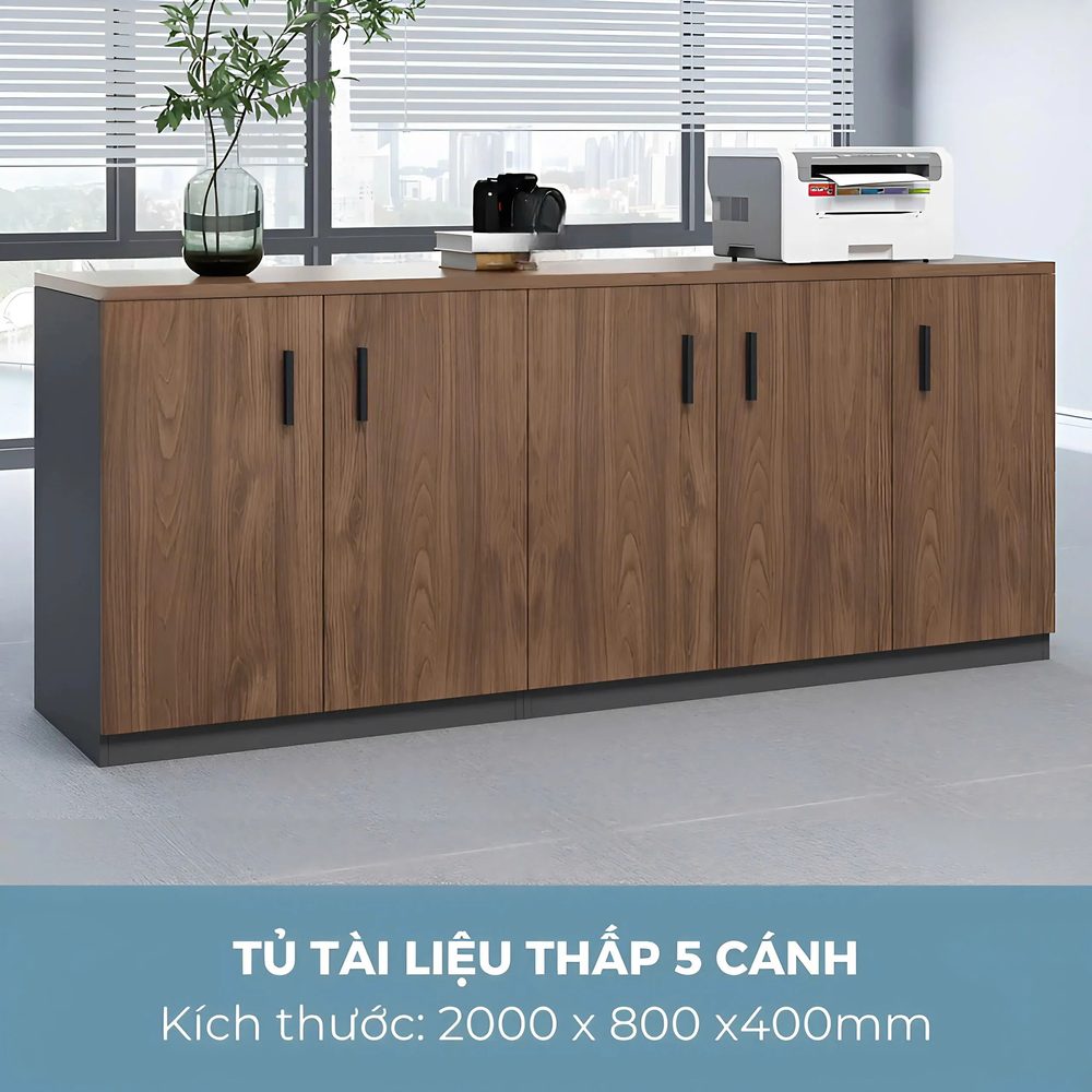 [THS271] Tủ Tài Liệu Trung Giá Tốt HCM - THS271