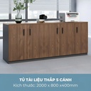 [THS271] Tủ Tài Liệu Trung Giá Tốt HCM - THS271