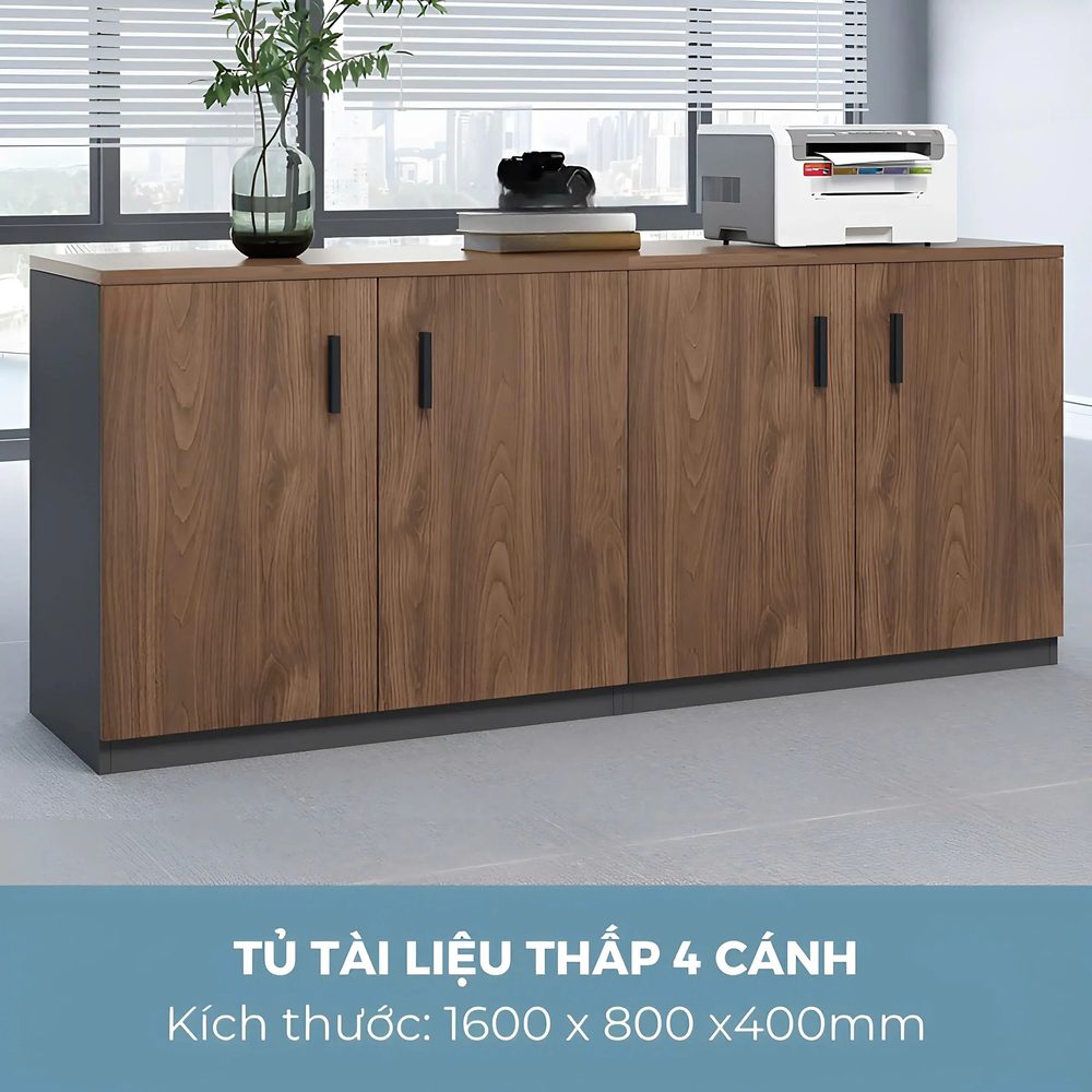 Tủ Tài Liệu Trung 2 Cánh Mở - THS270 2