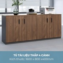 [THS270] Tủ Tài Liệu Trung 2 Cánh Mở - THS270