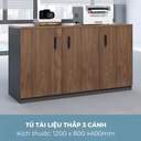 Tủ Tài Liệu Thấp 3 Cánh Tiện Lợi - THS269 1