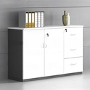 Tủ Tài Liệu Dạng Lửng Đẹp - THS218 1