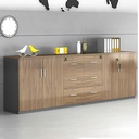 [THS217] Tủ Tài Liệu Thấp Nhiều Ngăn Tiện Lợi - THS217