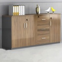 Tủ Tài Liệu Thấp Nhiều Hộc Tiện Lợi - THS216 1
