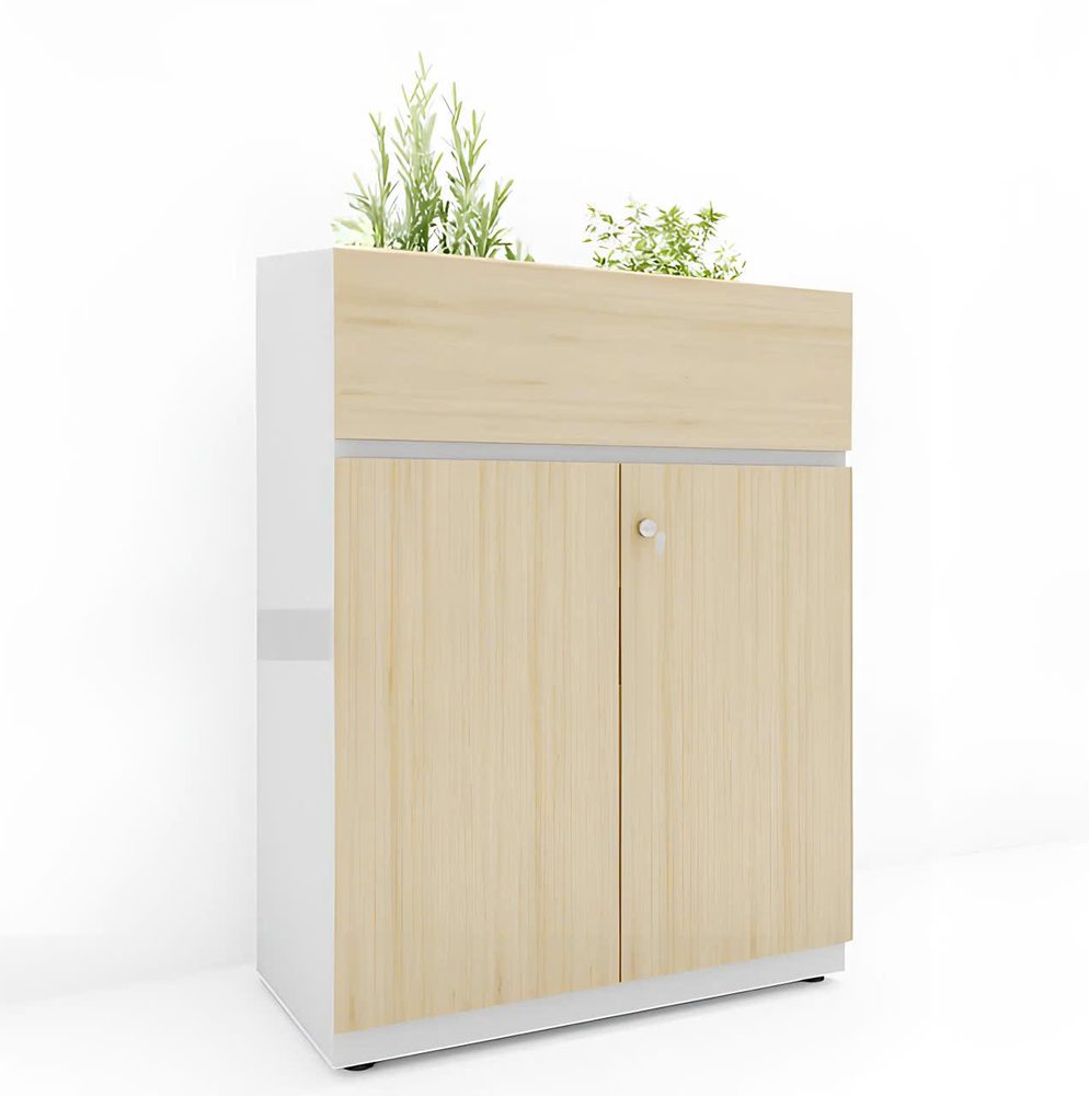 Tủ Tài Liệu Trang Trí Cây Xanh Đẹp - THS163 1