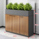 Tủ Tài Liệu Để Cây Trang Trí - THS160 1