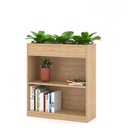 Tủ Văn Phòng Dáng Lửng 2 Ngăn Hiện Đại - THS105 5