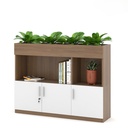 Tủ Văn Phòng Thấp Trang Trí Cây Xanh - THS104 4