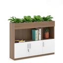 Tủ Văn Phòng Thấp Trang Trí Cây Xanh - THS104 5