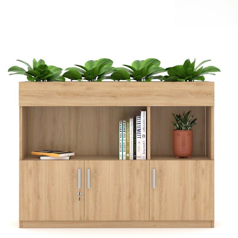 [THS104] Tủ Văn Phòng Thấp Trang Trí Cây Xanh - THS104