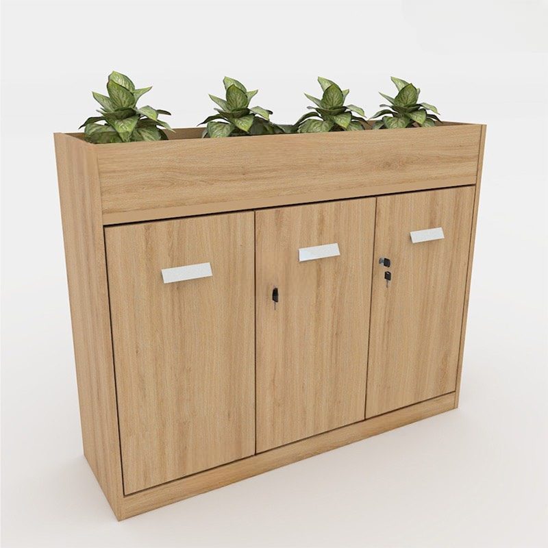 Tủ Văn Phòng Trang Trí Cây Xanh Tiện Lợi - THS100 3