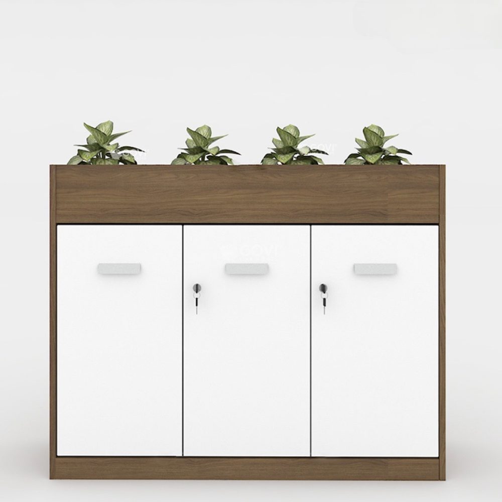 Tủ Văn Phòng Trang Trí Cây Xanh Tiện Lợi - THS100 5