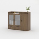 Tủ Tài Liệu Thấp Cánh Kính Classic- THS97 1
