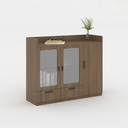 Tủ Tài Liệu Dạng Lửng 2 Cánh Kính - THS93 3