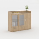 Tủ Tài Liệu Dạng Lửng 2 Cánh Kính - THS93 5