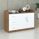 Tủ Tài Liệu Trung 2 Cánh Gỗ 3 Ngăn - THS89 2