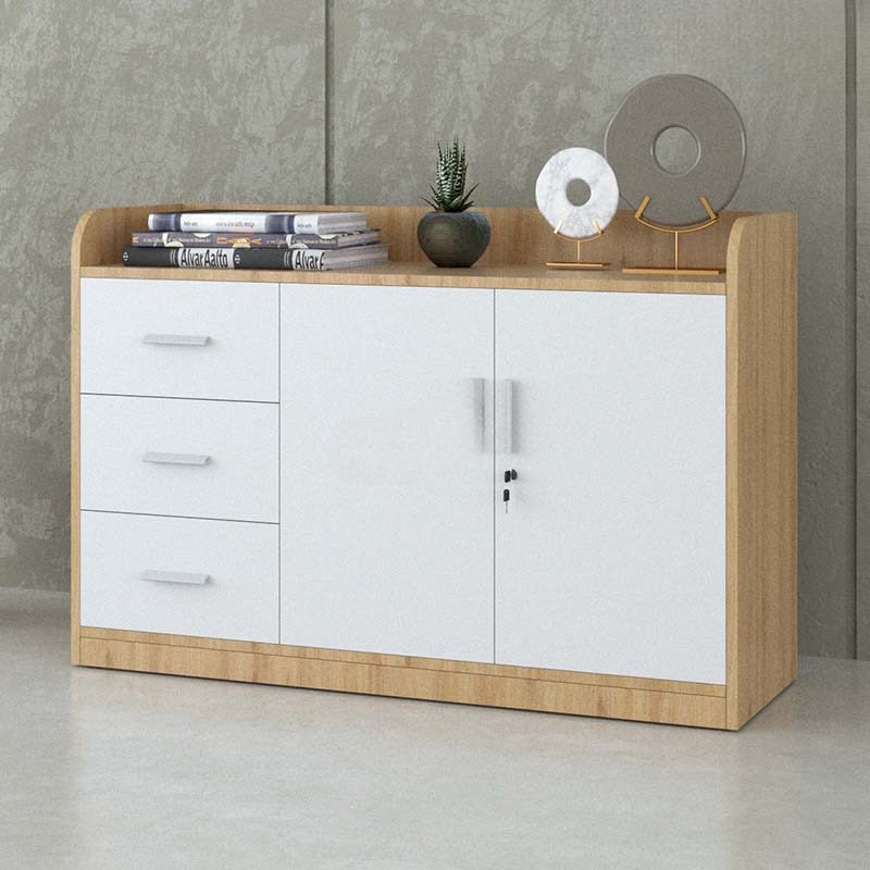 Tủ Tài Liệu Trung 2 Cánh Gỗ 3 Ngăn - THS89 4