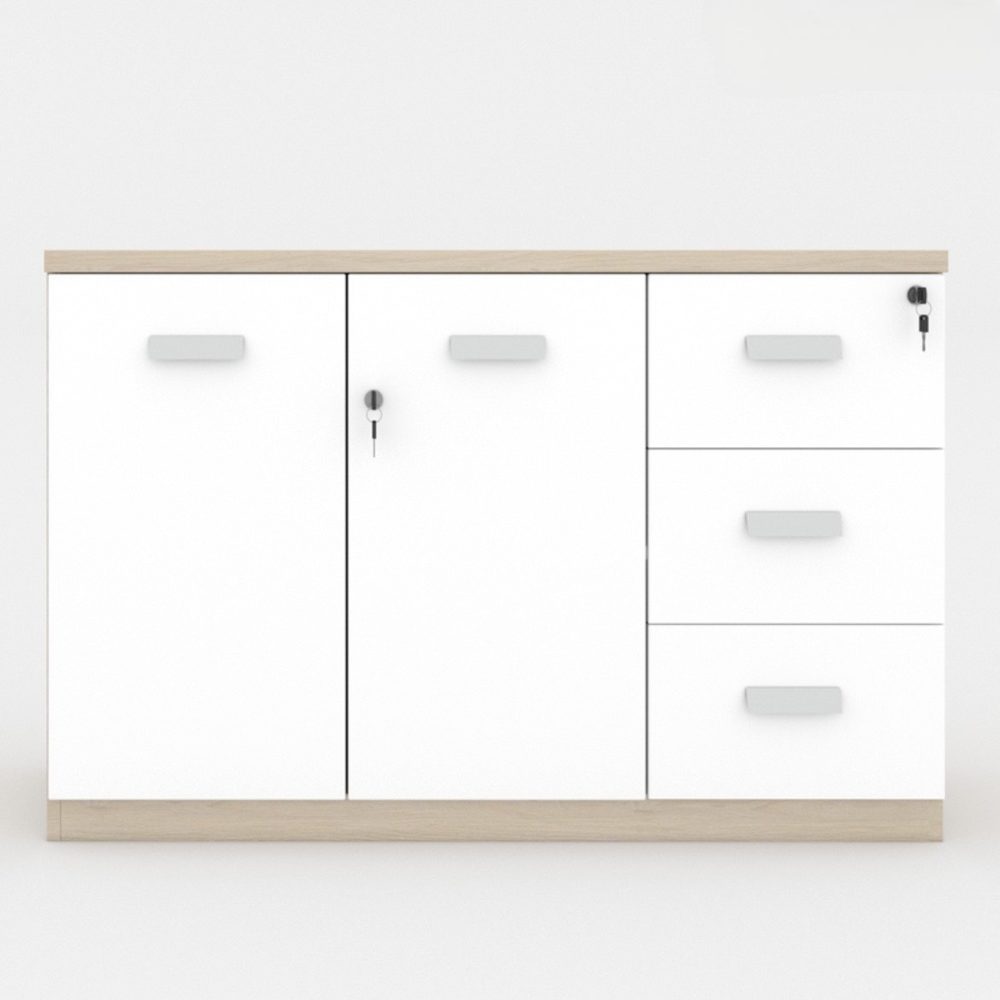 Tủ Văn Phòng Dạng Lửng 2 Cánh 3 Ngăn - THS54 1